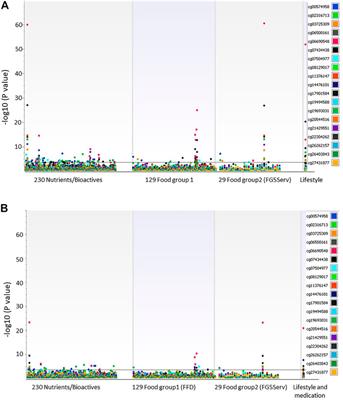 The impact of alcoholic drinks and dietary factors on epigenetic markers associated with triglyceride levels